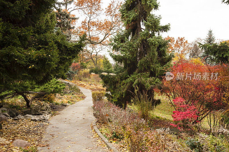 秋季步道高地公园