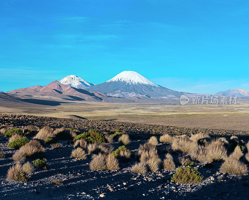 智利劳卡国家公园的帕里纳科塔火山