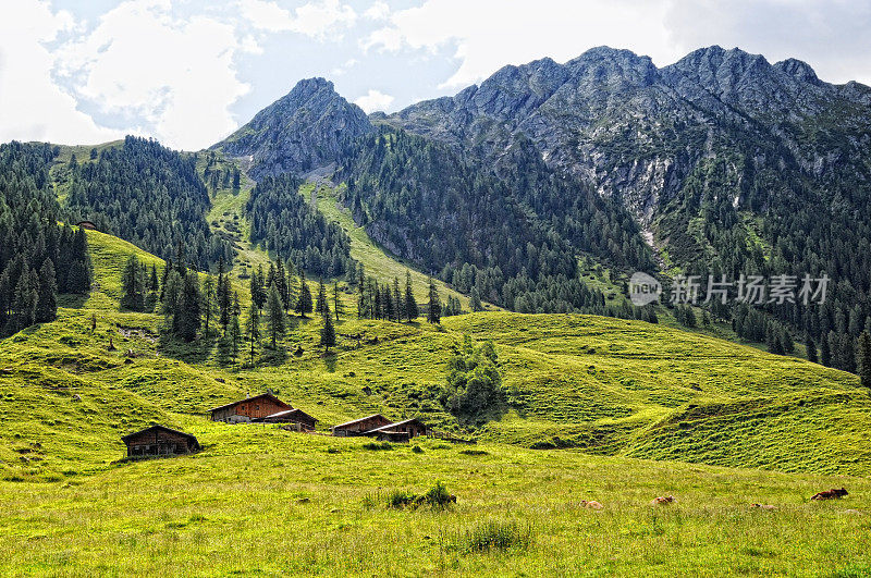 Tirol(奥地利欧洲阿尔卑斯山)Schoenach山谷农场