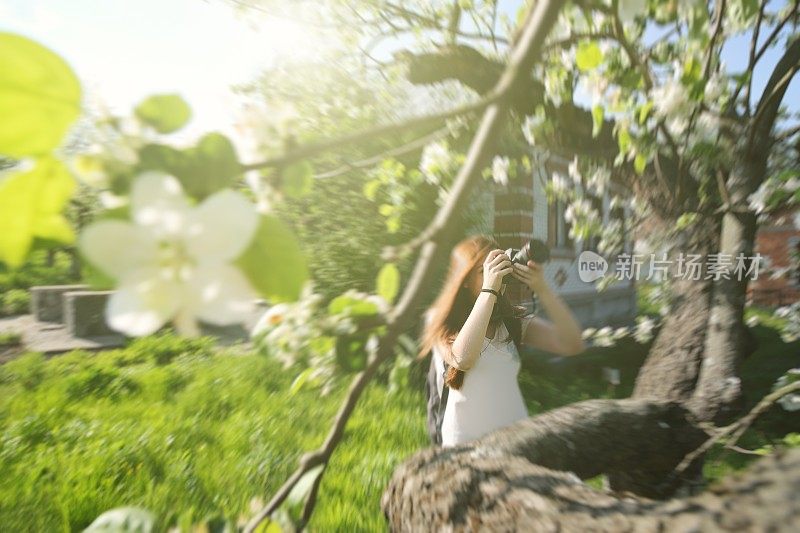 女人花照片