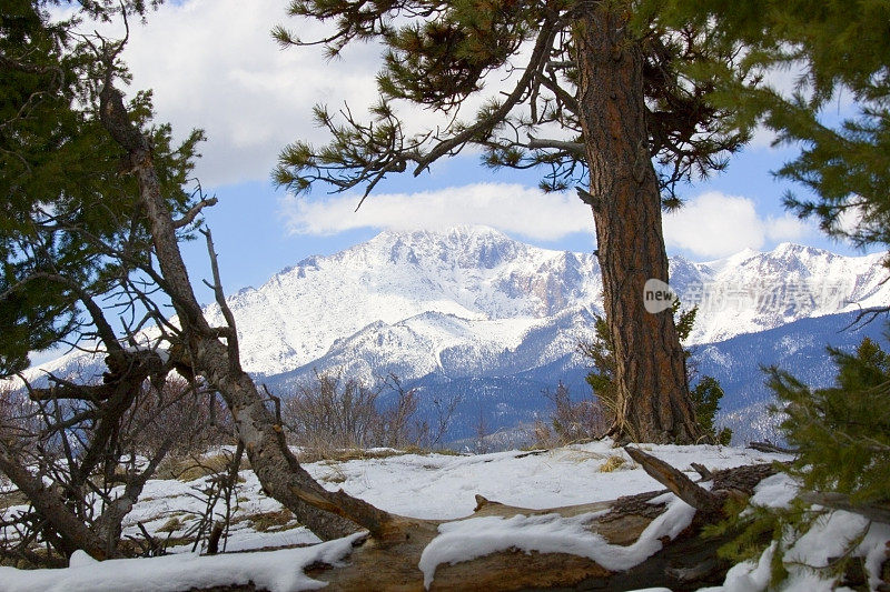 雪中的科罗拉多派克峰