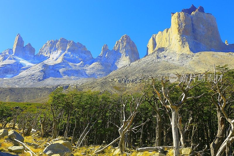 奎尔诺斯德尔佩恩法国山谷峰，智利巴塔哥尼亚森林景观