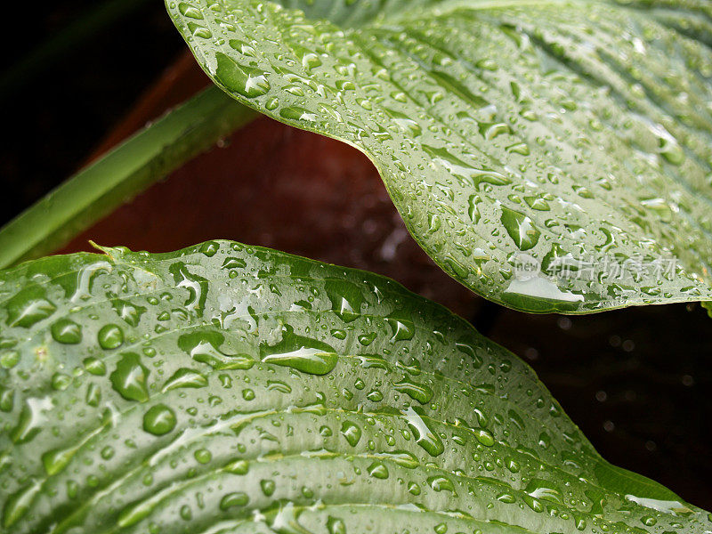 小雨打在工厂