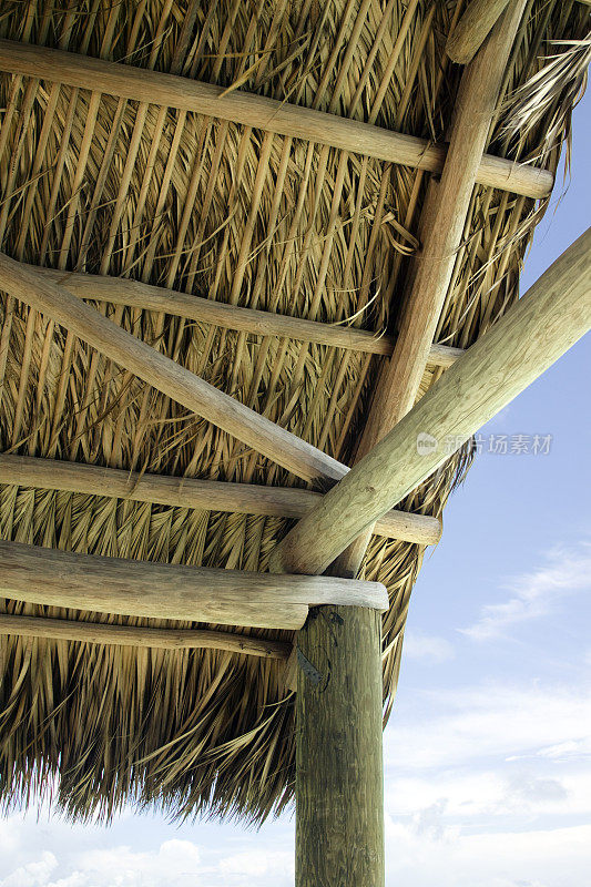 热带茅草屋顶