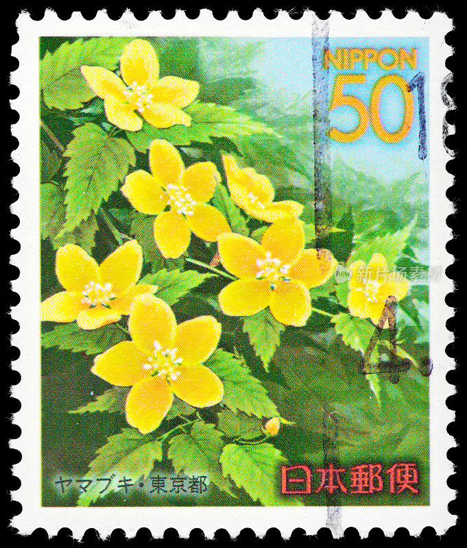 美丽的彩色花朵在日本复古邮票