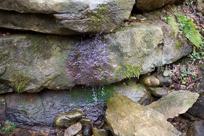 滴水在森林里的天然岩石上