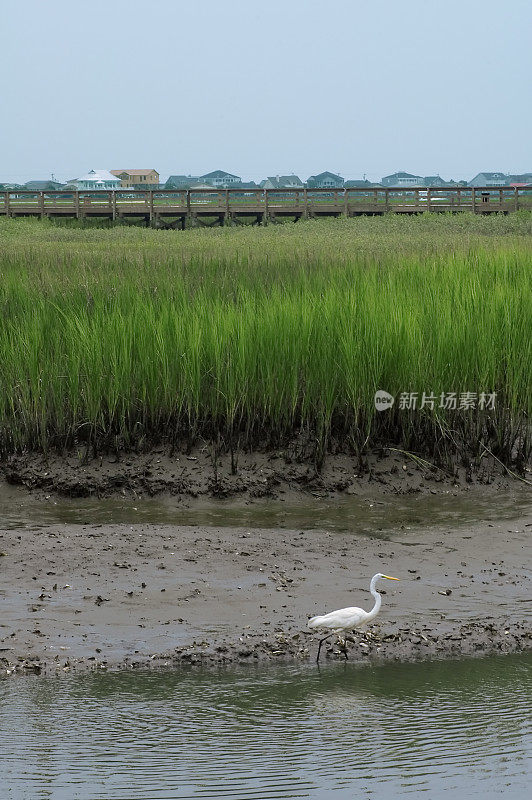 进口的场景