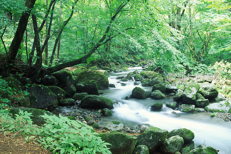 高山流水