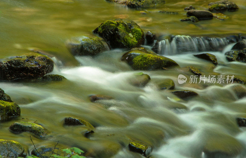 流淌着黑色岩石的森林河