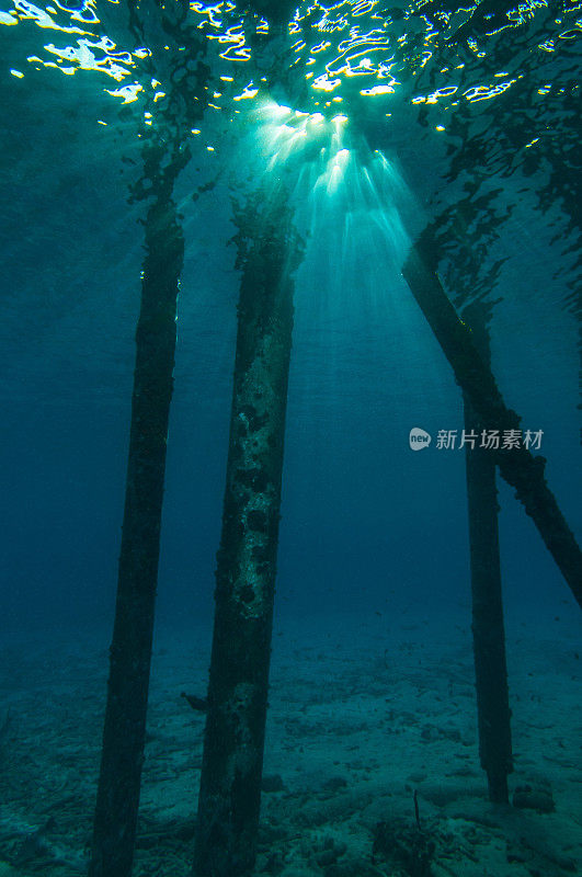 阳光照射在水面下