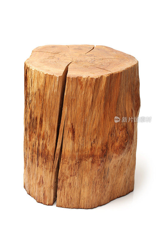 log被孤立在白色背景上的木头