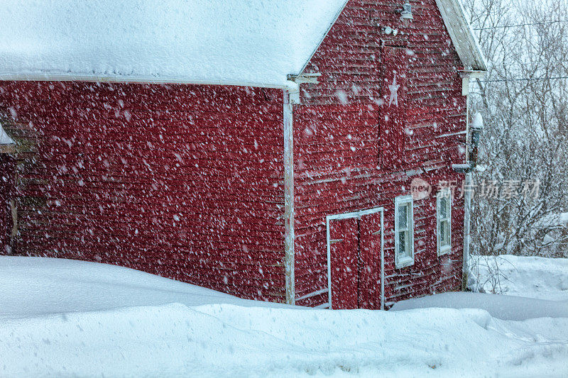 红色谷仓在暴风雪，冬天