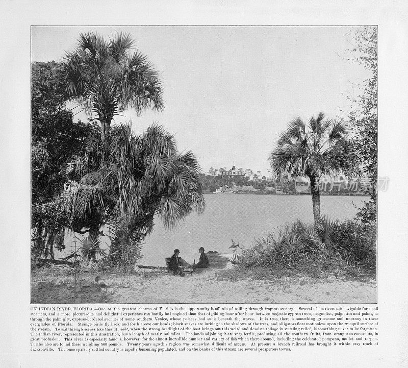 美国古董照片:在印第安河上，佛罗里达，美国，1893