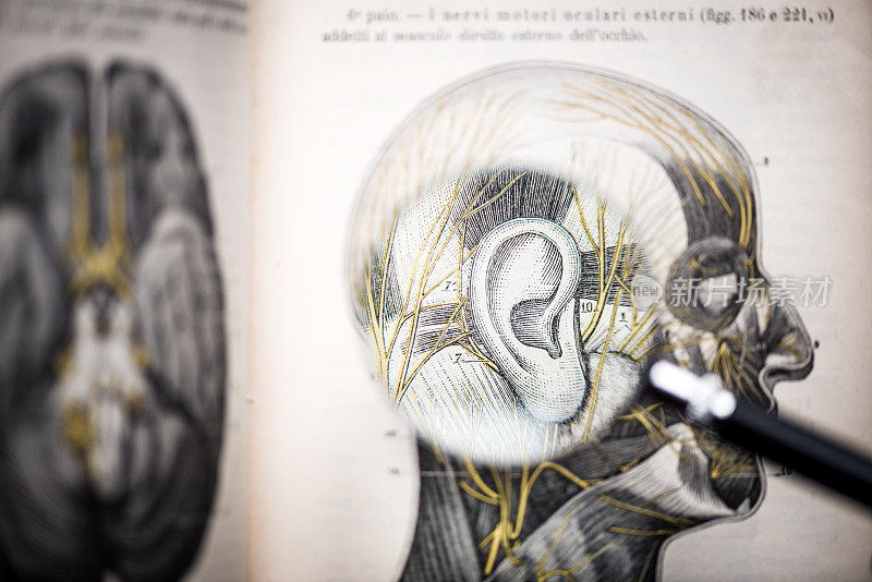 放大镜上的古董解剖学书:耳朵