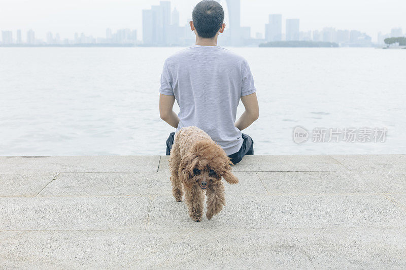 后视图的人坐在海滨和他的宠物在一边