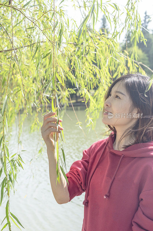 一幅年轻女子站在柳树下的肖像