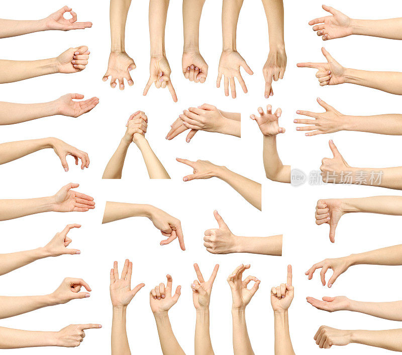 多个女人的手势孤立在白色。多幅图像的大集合