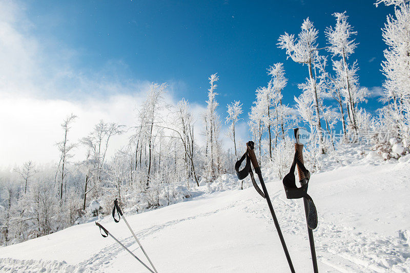 特写的越野滑雪杆在雪，欧洲