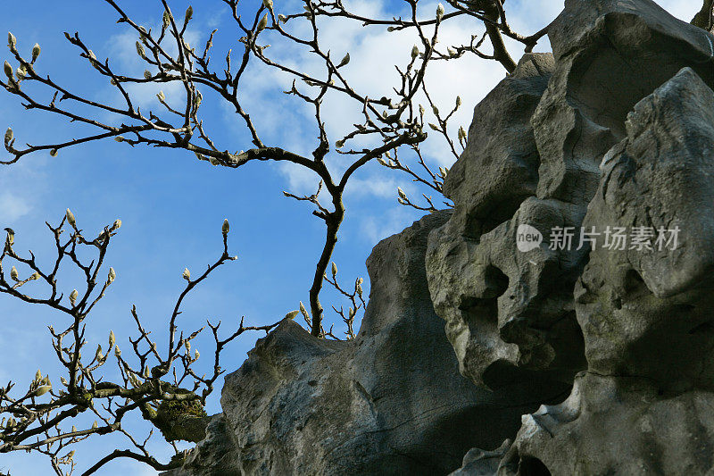 中国石园细节