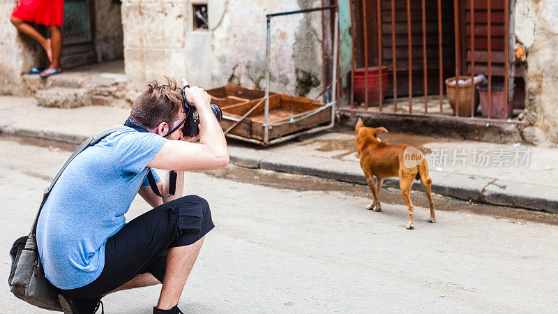 古巴哈瓦那，游客在大街上给一只狗拍照。受欢迎的加勒比和拉丁美洲度假目的地。