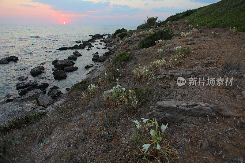 美丽的海岸