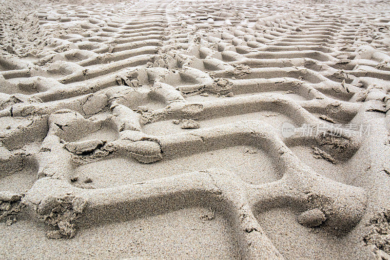 荷兰沙滩上深深的车胎痕迹。