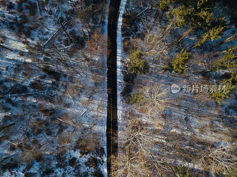 鸟瞰图的道路在森林中央的雪