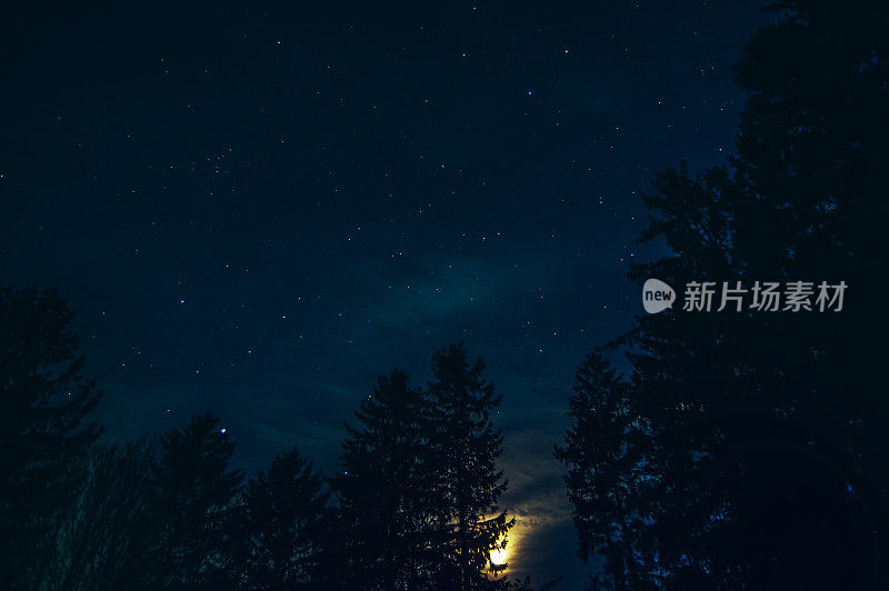 与星星的夜景照片