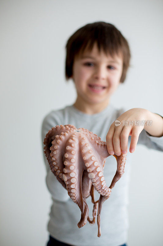 可爱的学龄前儿童，拿着生章鱼的男孩