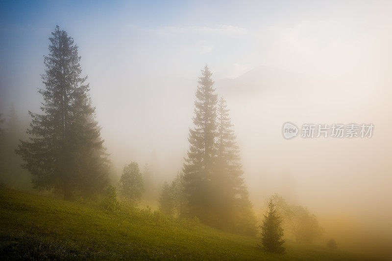 多雾的早晨的太阳