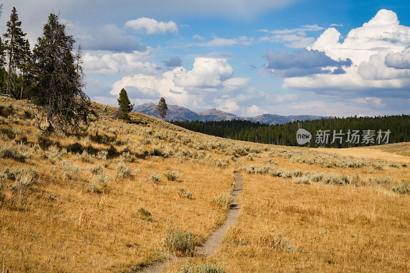 玛丽山径海登山谷景观，黄石国家公园