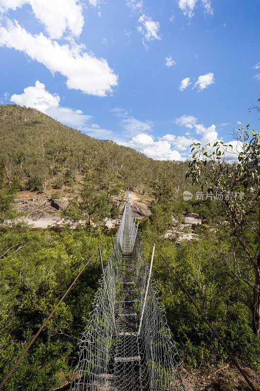 在森林茂密的公园里，吊桥横跨峡谷