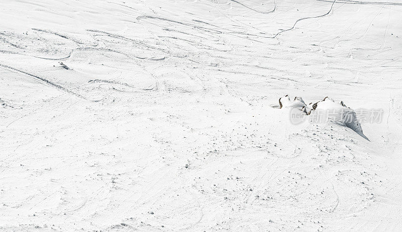雪道外滑雪时留下的痕迹