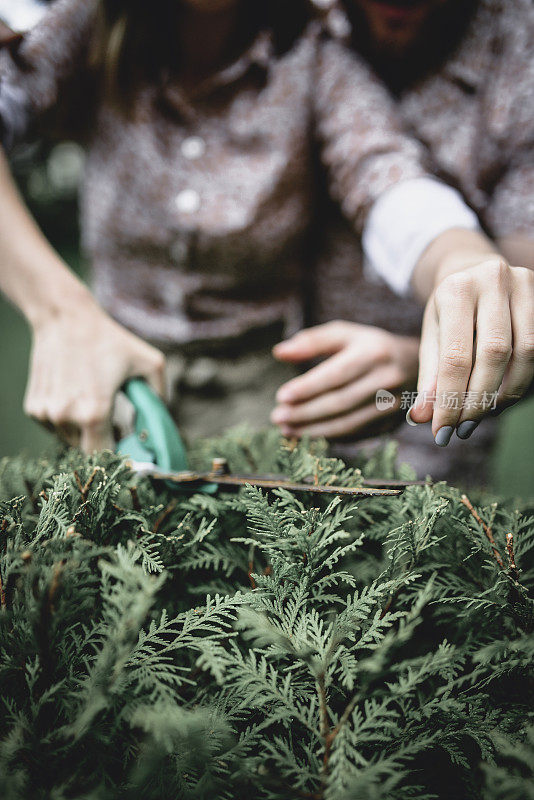 一对夫妇在花园里修剪灌木