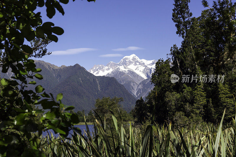 湖Matheson反射景观全景，新西兰，南岛