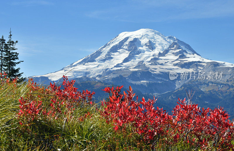 雷尼尔山火山