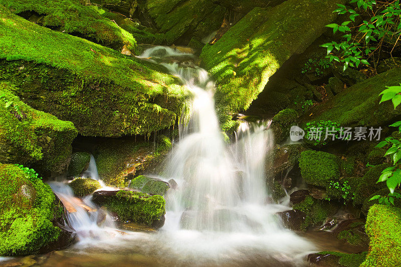 VD702瀑布在苔藓山谷