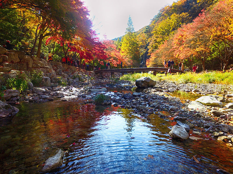 韩国全南道顺昌甘天山的秋天