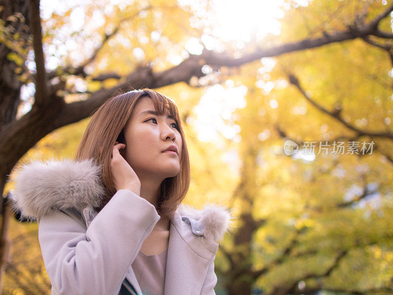 年轻女子在银杏树下仰望天空