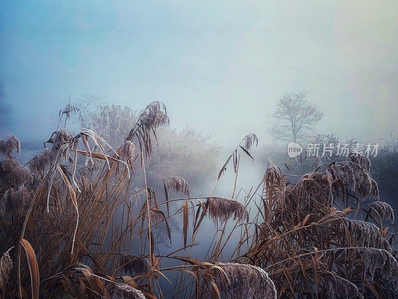 冬天的早晨在公园里