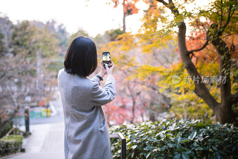 一个女人在拍秋叶