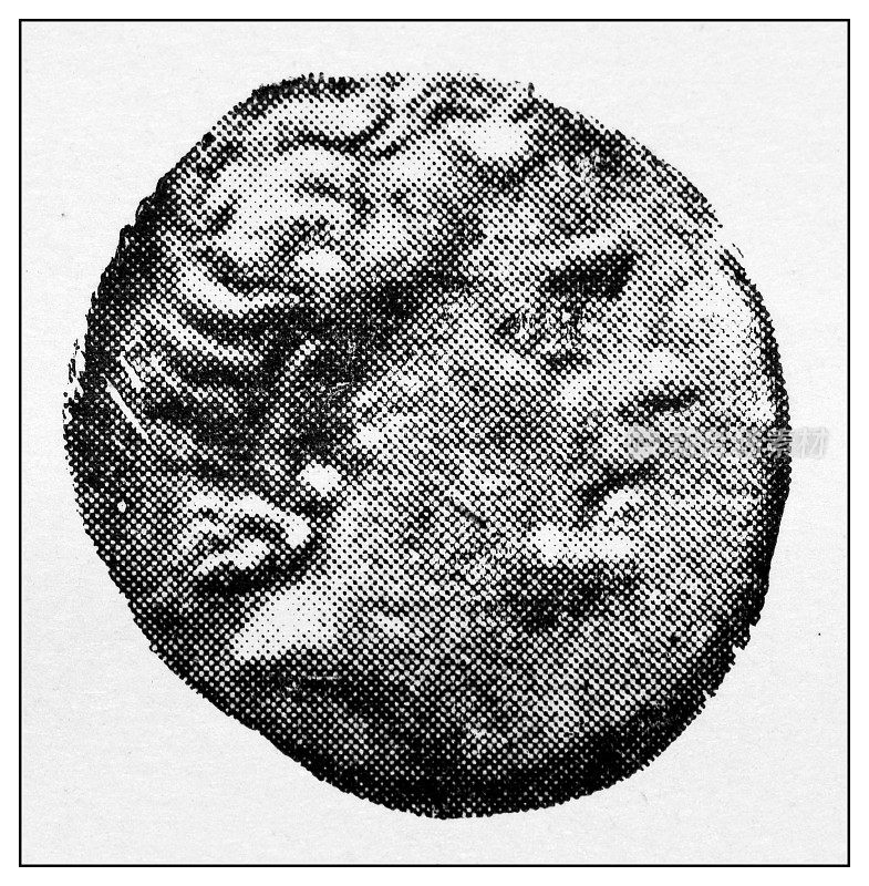 经典肖像图集-罗马:盖乌斯弗拉米尼乌斯硬币