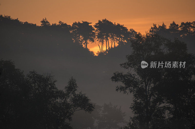 雾希思场景