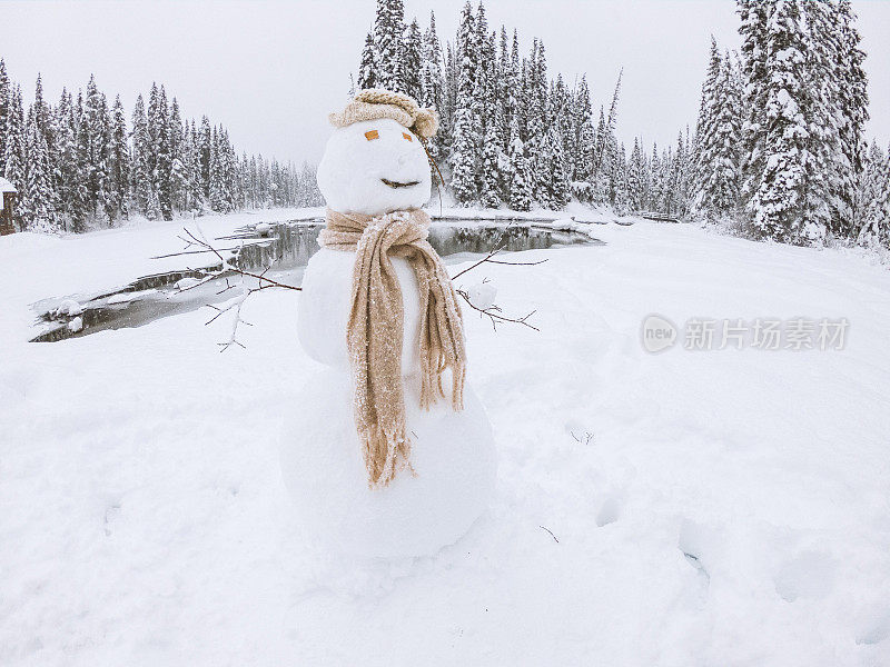 雪人在松树林在加拿大