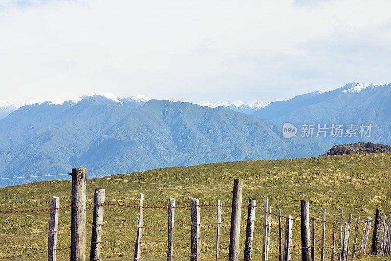 新西兰，乡村篱笆和景观