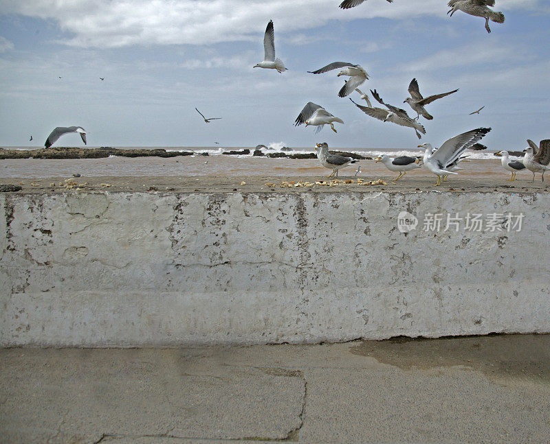 Essaouira、摩洛哥