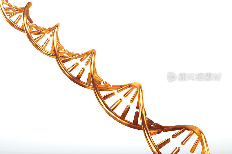 白色背景上分离出的金金属DNA