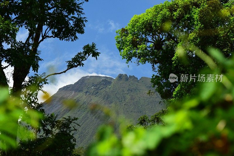 阿里纳斯火山冒着热气，透过树木的缝隙观看