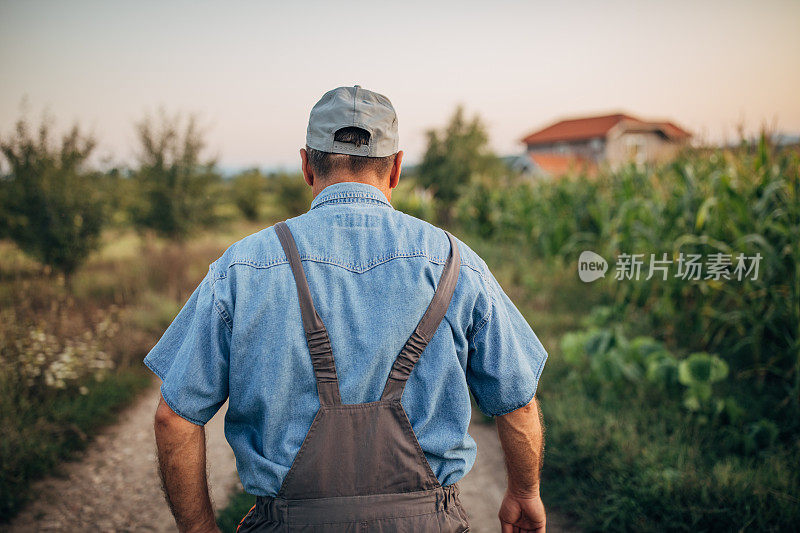 老农在回家的路上