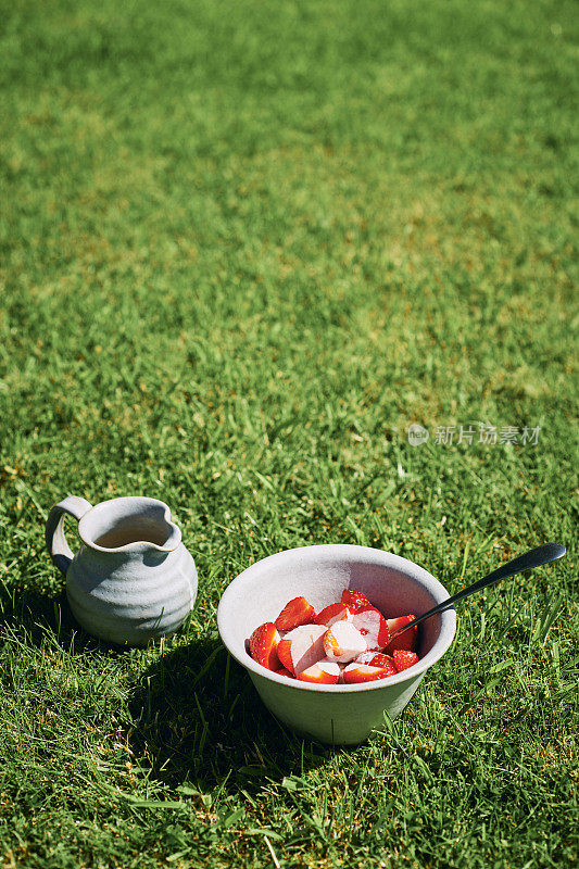 在一个阳光明媚的夏日，一碗草莓和奶油放在花园草坪上。